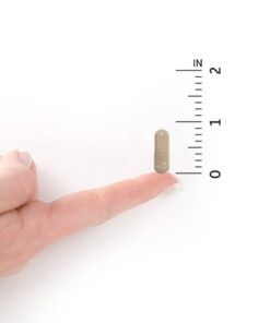 Garden of Life Vitamin K2 and K1, Vitamin Code Vegan K Complex Vitamin for Bone Strength and Heart Health, Vitamin K1 and K2, Omega Rich Flax Seed Oil, Trace Minerals, Probiotics, 60 Day Supply Unflavored 60 Count (Pack of 1) 13 51y7OnrskiL