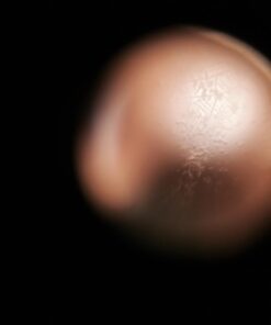 Fairhaven Health Fertile Focus Ovulation Test Kit - Women's Fertility Tracker and Predictor - 3 Days in Advance - Ovulation Kit - Accurate, Reusable Home Saliva Test - Results in Five Minutes 54 51y7nfBi3TL