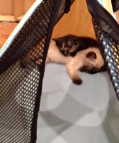 Necoichi Portable Stress Free Cage Carrier and Litter Box, Indoor & Outdoor, Travel (Beige, Carrier) Beige 31 51y9rriZicL 1