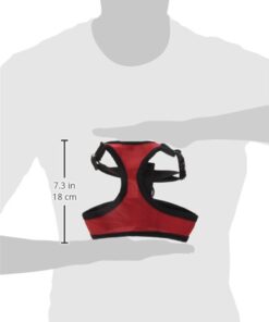 Hamilton Pet & Equine Hamilton Adjustable Rooster Soft Mesh Chicken Harness, Red, 5/8" x 14"/20"/Medium MEDIUM/ROOSTER 5 51yYQ3HUPHL