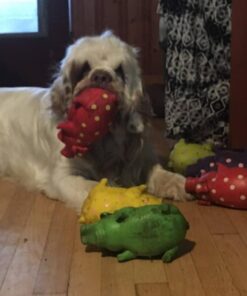 Wellness CORE Healthy Joints Crunchy Dog Treats (Previously Marrow Roasts), Natural Grain-Free Treats, Made with Real Meat, No Artificial Flavors (Beef, 8-Ounce Bag) 63 51ye71d1zFL