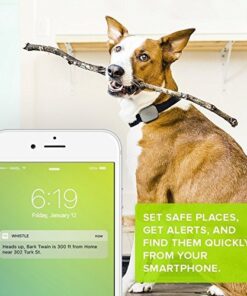Whistle 3 / GPS Pet Tracker & Activity Monitor / Grey 36 51yvOkK22cL