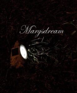 Large 7" wide Garden Solar Rock Lights Outdoor 13 51zCeFlW PL