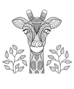 Adult Coloring Books: Animals - Stress Relief Coloring Book 47 51ziV6VhHqL