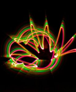 Rokinon 14mm f/2.8 IF ED UMC Ultra Wide Angle Fixed Lens w/ Built-in AE Chip for Nikon 61 61 6o1r1UL