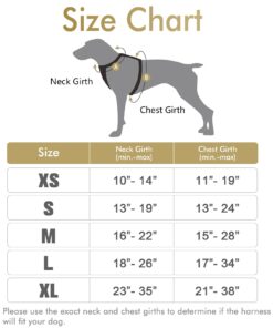 Alternative view of rabbitgoo Dog Harness, No-Pull Pet Harness with 2 Leash Clips, Adjustable Soft Padded Dog Vest, Reflective No-Choke Pet Oxford Vest with Easy Control Handle for Small Dogs, Beige, S