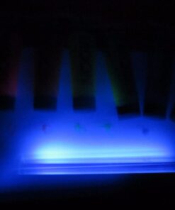 Moon Glow - Blacklight UV Glitter Face & Body Gel - 0.42oz Set of 6 - Blacklight Face Paint - glows brightly under Blacklight 25 61 BaLXu gL