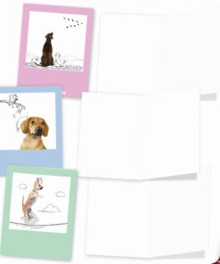 The Best Card Company - 10 Blank Dog Cards Assorted (4 x 5.12 Inch) - Adorable Boxed Animal Note Cards for All Occasions - Dogs & Doodles M6582OCB 12 61 TFtthcsL