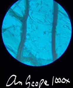 AmScope M150C-I 40X-1000X All-Metal Optical Glass Lenses Cordless LED Student Biological Compound Microscope 58 61 WuL0g4L