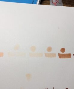 Copic I6-Skin Ciao Markers, Skin, Portrait, 6-Pack 39 61 Y827wURL