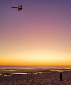 AGREATLIFE Rainbow Kite for Kids & Kites for Adults Easy to Fly, Kites for Kids Ages 4-8 Easy to Fly, Large Kites for Kids Ages 8-12, Kites for Toddlers Age 3-5, Beach Kite, Kids Kite for Beginner Classic Rainbow 39 61 YXr725zL