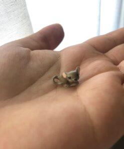 Glue Dots, Removable Dots, Double-Sided, 1/2", .5 Inch, 200 Dots, DIY Craft Glue Tape, Sticky Adhesive Glue Points, Liquid Hot Glue Alternative, Clear Removable Dots Roll 1/2-inch 16 61 c7K6joPL