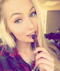 JURASSIC JERKY’S Carnivore Candy Beef Jerky, 3 Flavors Variety Pack, Teriyaki, Barbecue Mesquite and Traditional Western, 3x3oz Bags of Food on the Go, Full of Protein Lunch Snack Sticks. 12 61 iVZrO10L