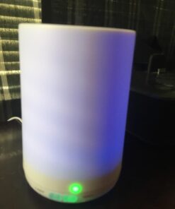 Natural Riches Breathe Essential Oil Blend Breathe Easy with Peppermint Eucalyptus Tea Tree Lemon Cardamom Pine Needle Essential Oils - 30 ml 1 Fl Oz (Pack of 1) 28 61 tN2qr4xL