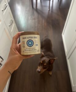 Blue Lotus Chai - Traditional Masala Chai - Makes 100 Cups - 3 Ounce Masala Spiced Chai Powder with Organic Spices - Instant Indian Tea No Steeping - No Gluten 3 Ounce (Pack of 1) 66 61 u199UMPL