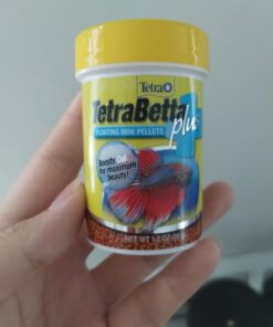 TetraBetta PLUS Floating Mini Pellets, Fish Food With Natural Color Enhancer, 1.2 ounces 1.2 Ounce (Pack of 1) 23 61 yevh 32L