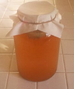 Cornucopia 1 Gallon Glass Kombucha Jar w/Cotton Cloth Cover & Plastic Lid for Storage after Brewing 24 61 yk7HRvSL