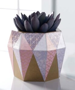 Mod Podge Gloss Waterbase Sealer, Glue (16-Ounce), CS11202 Finish, 16 oz 1 23 6100Jq41GML