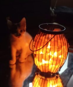 Himalayan Glow Lantern Style Basket Salt Lamp with Pink Salt Chunks,Pink Salt Nightlight,Salt Lamp Bulb,(ETL Certified) Dimmer Switch,Pleasant & Relaxing Amber Glow | 7-9 LBS 24 6106FWE59L 2