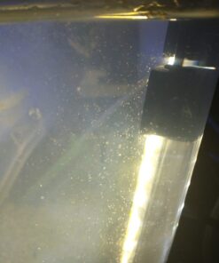 San Francisco Bay Brand Brine Shrimp Eggs Vial 0.2-Ounces (6 Grams) 2 Pack | Excellent Food Source for Baby Aquarium Fish & Freshwater & Saltwater Marine Reef Tanks Hatchery Fry 0.21 Ounce (Pack of 2) 7 610C0k0sV2L