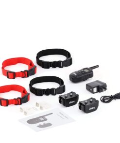 eXuby 2X Shock Collar for Small Dogs w/ 1 Remote & Training Dog Clicker - 3 Modes (Sound, Vibration & Shock) - Rechargeable Batteries - Very Fast Results 21 610C7 nhsL
