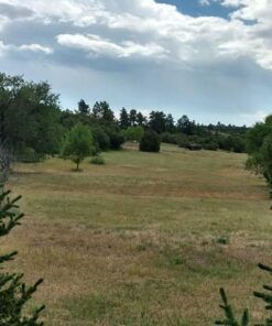 Spot Hogg The Hogg Father Right Hand Wrapped Sight 0.019 1-Pin 8 610LJ2aD1OL