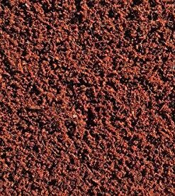 SpongEase Coconut Coir Compressed Block expands up to 18.7 Gallons (2.5 Cu Ft) - Ideal Growing Medium for Potting Mix - Healthy Roots, Healthy Plants and Bountiful Harvest (1 Pack) - Healthy Roots, Healthy Plants & Bountiful Harvest 19 610MquMI36L