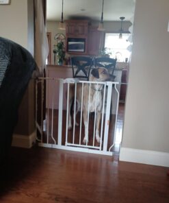 Regalo Easy Step 38.5-Inch Wide Walk Thru Baby Gate, Includes 6-Inch Extension Kit, Pressure Mount Kit, Wall Cups 38.5" Wide 29 610T6UnaTTL