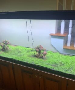 DualShock 4 Wireless Controller for PlayStation 4 - Midnight Blue 39 610atGHvx L