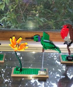 LEGO Ideas 21301 Birds Model Kit 31 610c3nv1Q2L