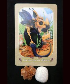 Messanger Oracle 30 610f3o3X0eL