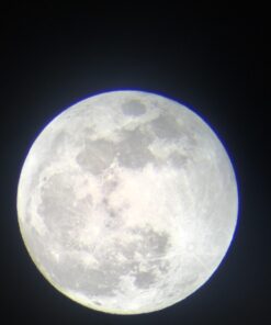 Celestron – Ultima 80 Angled Spotting Scope – 20-60x Zoom Eyepiece – Multi-Coated Optics for Bird Watching, Wildlife, Scenery and Hunting – Waterproof and Fogproof – Includes Soft Carrying Case Ultima 80 - 45° Spotting Scope 42 610hq5nRVkL