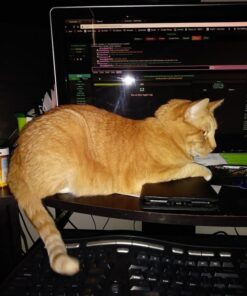 Microsoft Natural Ergonomic Keyboard 4000 for Business - Wired Black 33 610iYIsv3VL