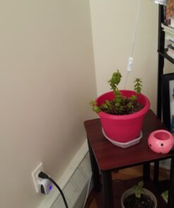 Espoma Organic Potting Soil Mix - All Natural Potting Mix For All Indoor & Outdoor Containers Including Herbs & Vegetables. For Organic Gardening, 8qt. bag. Pack of 1 38 610jX0McDfL 1