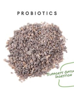 Alternative view of Manna Pro Chick Grit Digestive Supplement for Young Growing Poultry & Bantam Breeds - No Artificial Ingredients or Preservatives - Natural Supplement with Insoluble Crushed Granite - 5 lbs 5 Pound (Pack of 1)