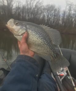 INTEX Explorer Inflatable Boat Series: Dual Air Chambers – Welded Oar Locks – Grab Handles – Bow Rope – Sporty Design Explorer 200 Set 45 610qxnrhSQL