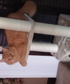 Majestic Pet Products 52 Inch Cat Tree Furniture Tower Condo House with Scratching Post, Multi-Level Activity Pet Tree (Beige Casita) Beige Casita 14 610x7w2zoKL