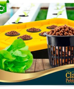 Expanded Clay Pebbles LECA Grow Media for Plants, Orchids, DWC Hydroponics, Aquaponics, Aquaculture Garden Soil Additive Conditioner Amendment Ceramsite Aggregate Cz Garden 2 LBS Cz Expanded Clay Pebbles 31 610xtSS1oL