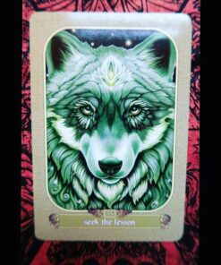 Messanger Oracle 31 611146I5oL