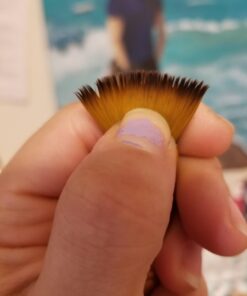 General Pencil General 105-BP Pencil Masters Brush Cleaner & Preserver, 1 Pack, Clear 36 6114sUEk25L