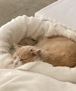 Petmate Aspen Pet Self Warming Round Bed, 19.5 Inches, Barn Red and Cream 19.5"L x 19.5"W x 7.0"Th 29 611868mUYML