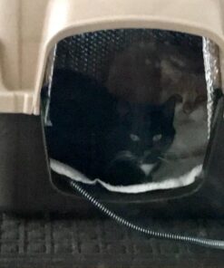 K&H Pet Products Outdoor Heated Dog Pad Tan Medium 19 X 24 Inches 42 611DluxSMKL 1