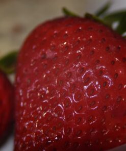 Mcoplus Extnp Auto Focus Macro Extension Tube Set for Nikon AF AF-S DX FX SLR Cameras 45 611F0eDXx L