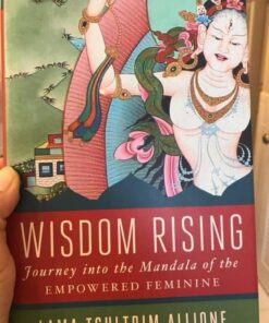 Wisdom Rising: Journey into the Mandala of the Empowered Feminine 10 611IP1uBmAL