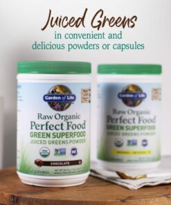 Garden of Life Raw Organic Perfect Food Green Superfood Juiced Greens Powder - Chocolate, 60 Servings, Non-GMO, Gluten Free, Vegan Whole Food Dietary Supplement, Plus Probiotics, Enzymes 60 Servings (Pack of 1) 22 611XCLkdOzL