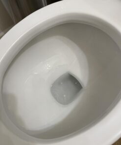 Powerstone Pumice Stone Toilet Bowl Cleaner with Handle (1-pack) - A Solution for Hard Water Stains on Toilets, Grills, Tiles, Grout & Pools Pack of 1 48 611YEGNVKaL