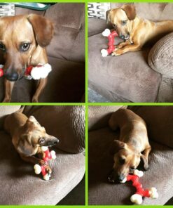 Nylabone Power Chew Double Bone Long Lasting Chew Toy for Dogs Medium - Up to 30 lbs. Medium up to 35 lbs. 32 611jOufsPoL