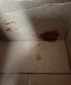 Open Pit Barbecue Sauce Original 18 Oz - 4 Pack 1.12 Pound (Pack of 1) 15 611kobr5RoL