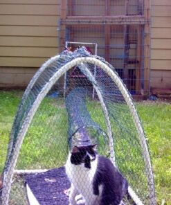 FORMUFIT 1/2" 3-Way Elbow Furniture Grade PVC Fitting in White, Made In USA, UV-Resistant, Impact-Proof, 0.840" Actual Socket Diameter (10-Pack) - F0123WE-WH-10 22 611la8s6 wL