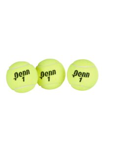 Penn Championship Tennis Balls - Extra Duty Felt Pressurized - 4 Cans, 12 Balls 22 611loNuLsrL